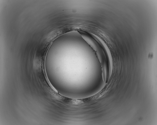X0000090480333200707201421