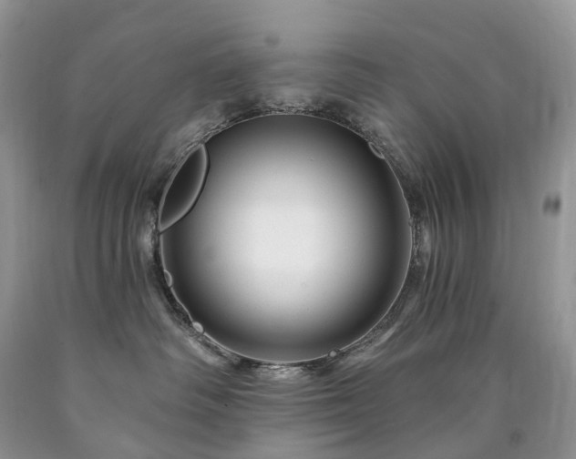 X0000090480334200707201421