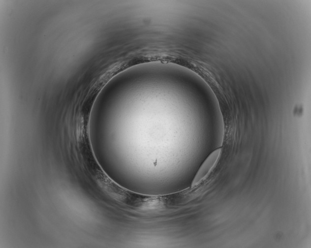 X0000090480335200707201421