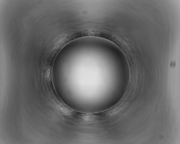 X0000090480336200707201421
