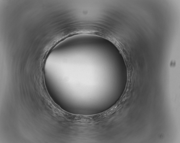 X0000090480337200707201420