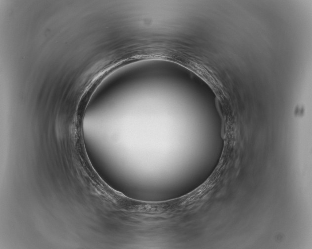 X0000090480338200707201420