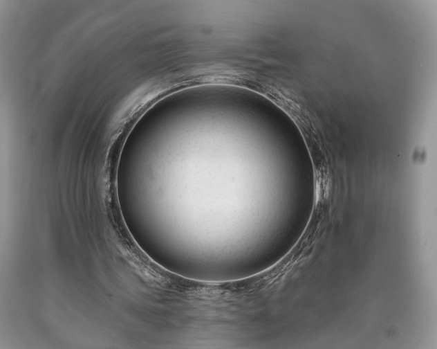 X0000090480339200707201420