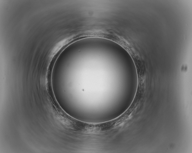 X0000090480340200707201420