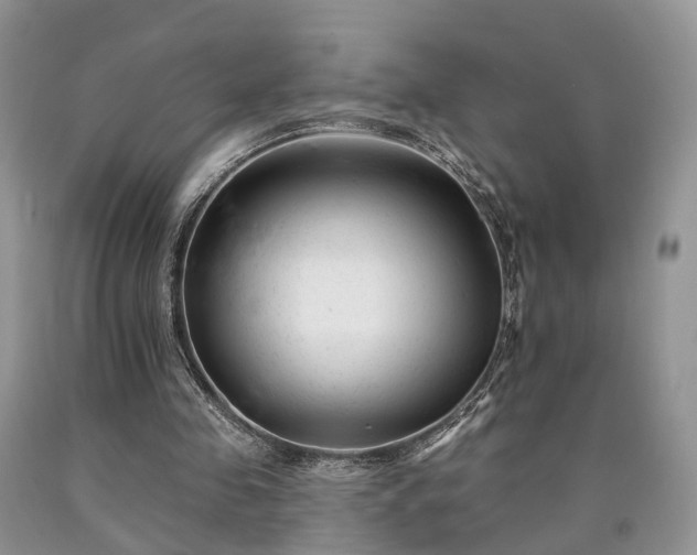 X0000090480341200707201420