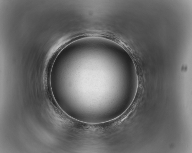 X0000090480343200707201420