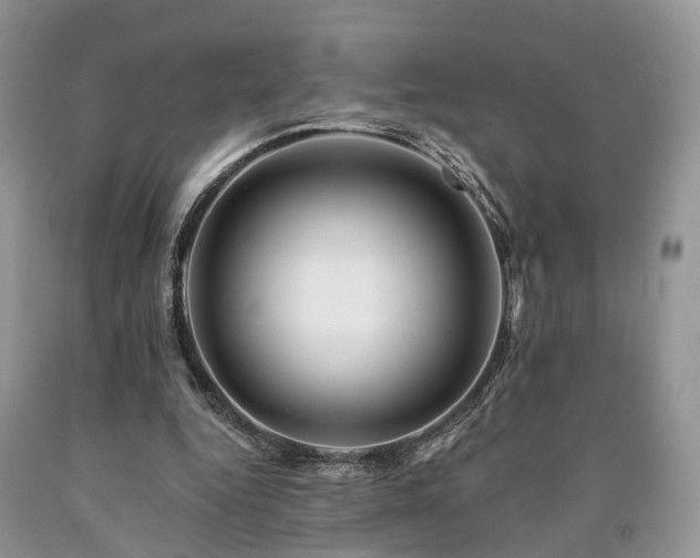 X0000090480344200707201420