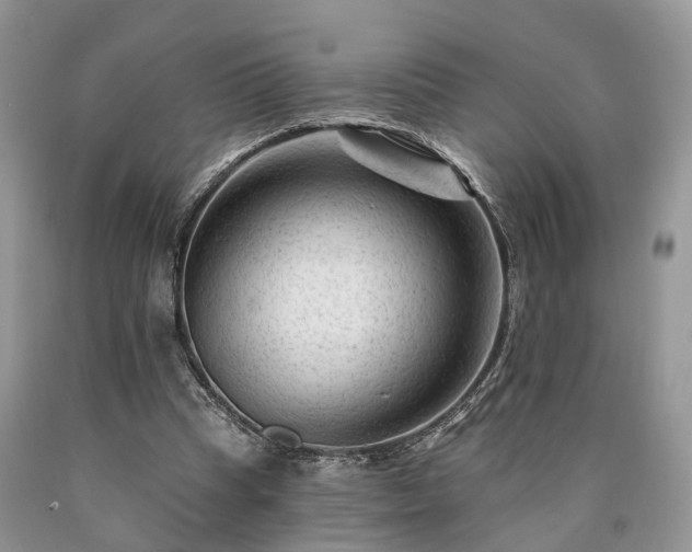 X0000090480345200707201420