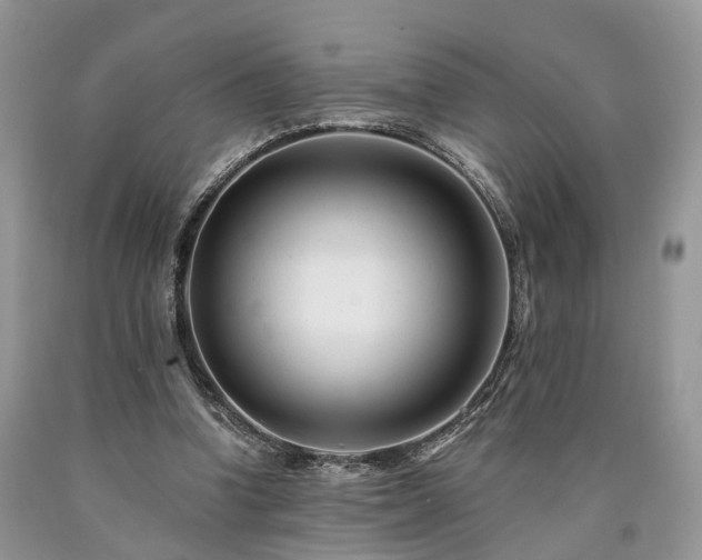 X0000090480346200707201420