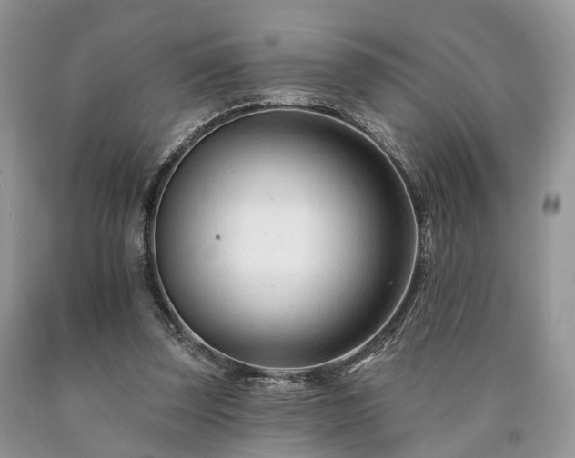 X0000090480347200707201420