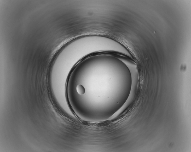X0000090480348200707201420