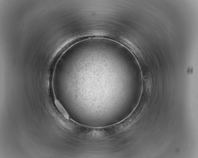 X0000090480350200707201420