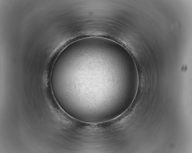 X0000090480351200707201420