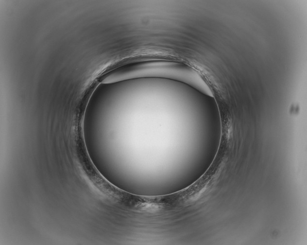 X0000090480352200707201420