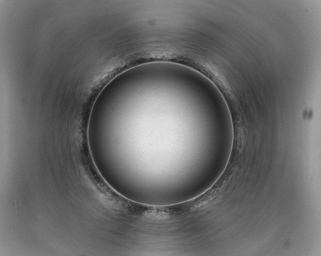X0000090480354200707201420