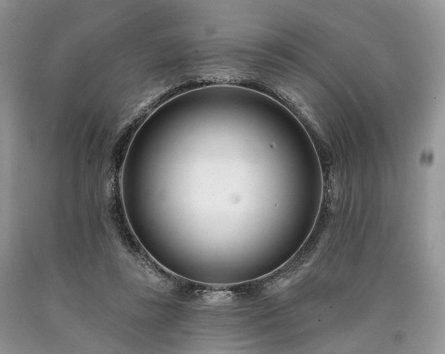 X0000090480355200707201420