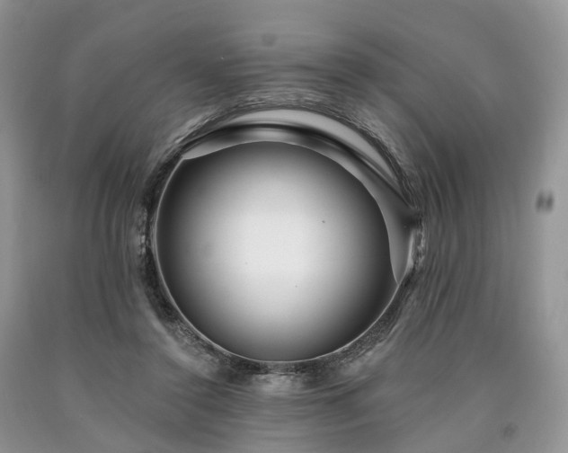 X0000090480356200707201420