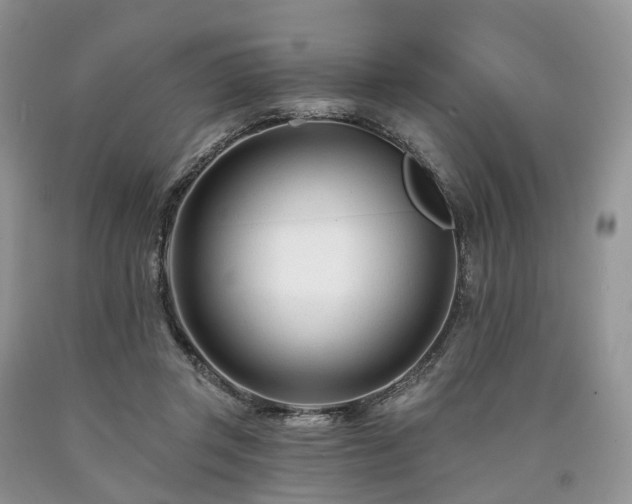 X0000090480357200707201420