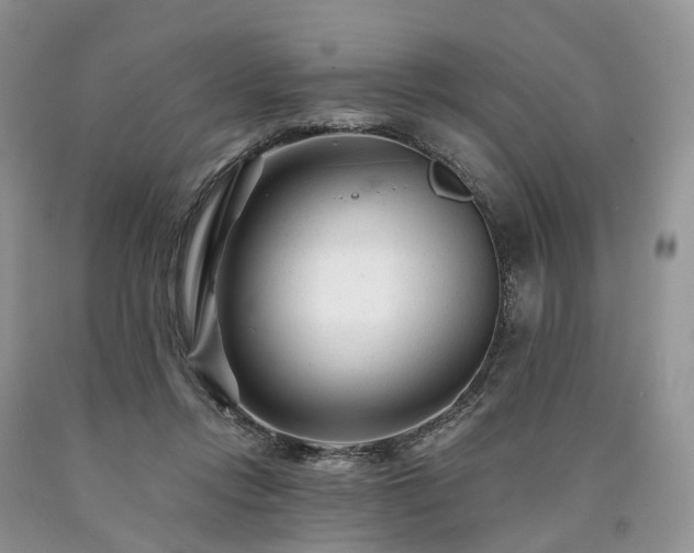 X0000090480358200707201420