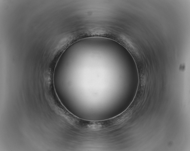 X0000090480362200707201420