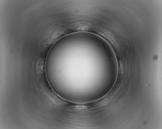 X0000090480363200707201420