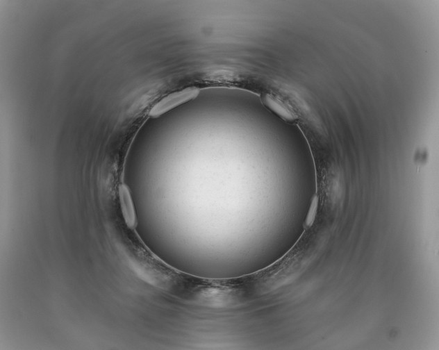 X0000090480364200707201420