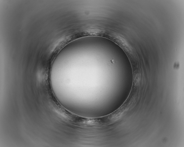 X0000090480365200707201420
