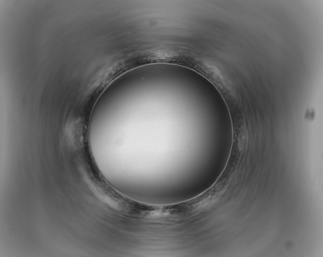 X0000090480366200707201420