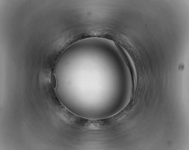 X0000090480368200707201420