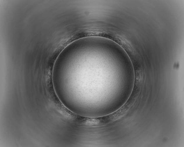 X0000090480369200707201420