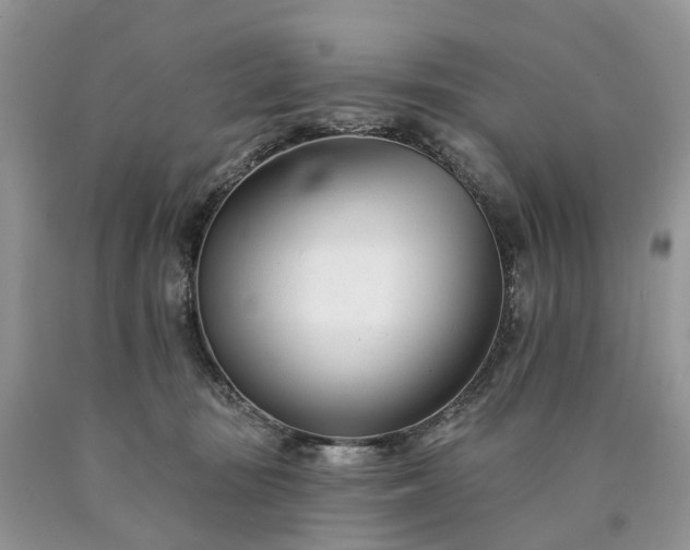 X0000090480371200707201420