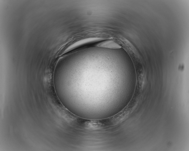 X0000090480372200707201420