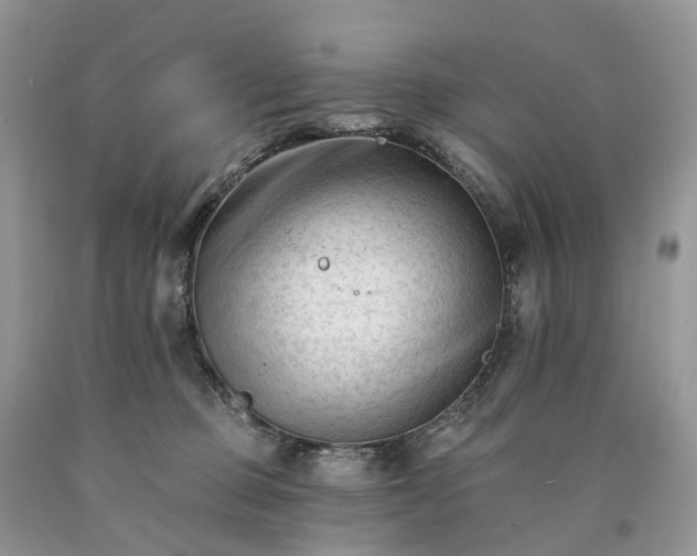 X0000090480373200707201420