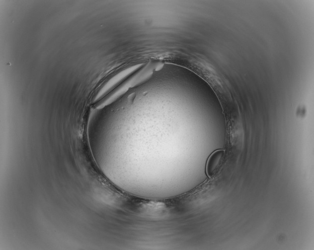 X0000090480374200707201420