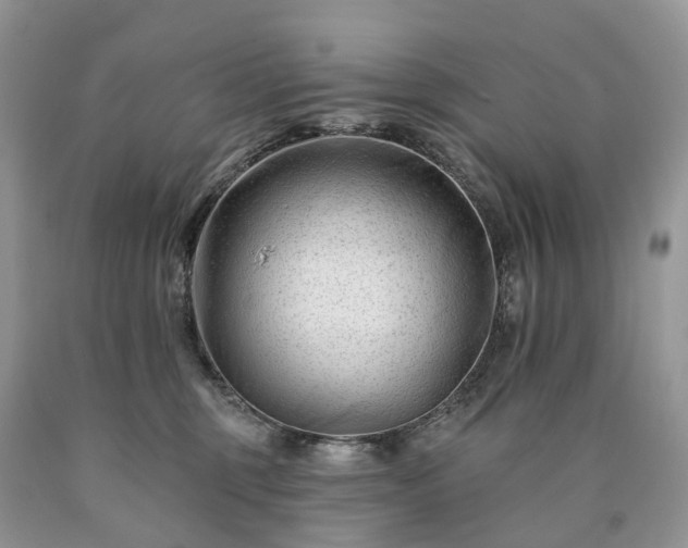X0000090480375200707201420