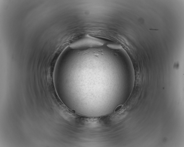 X0000090480377200707201420