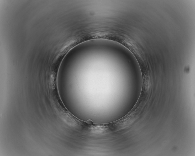 X0000090480378200707201420