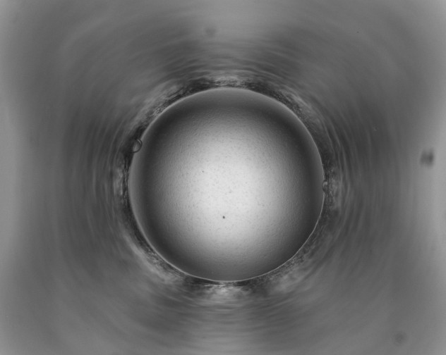 X0000090480379200707201420