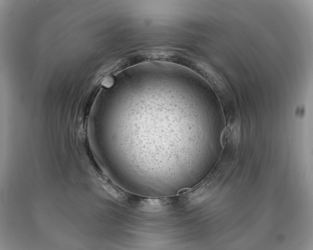 X0000090480381200707201420