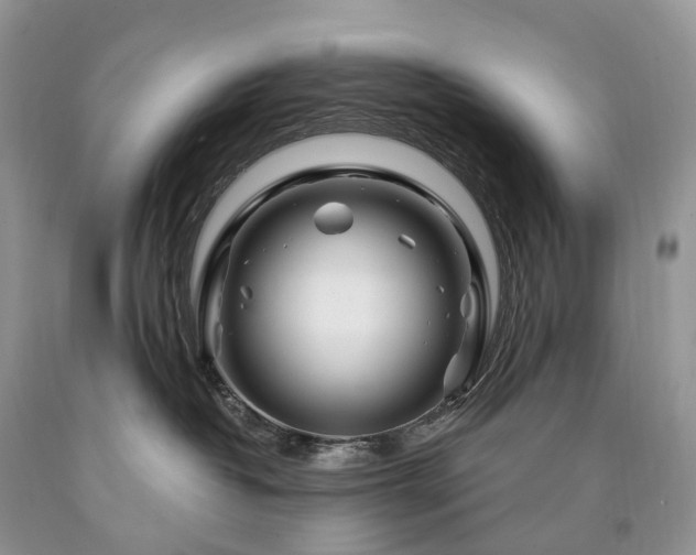 X0000090480382200707201421