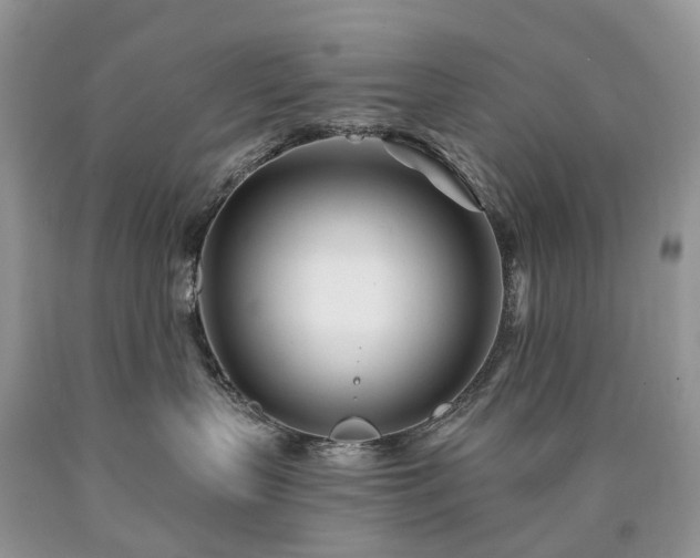 X0000090480383200707201421