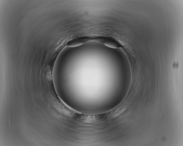X0000090480384200707201421