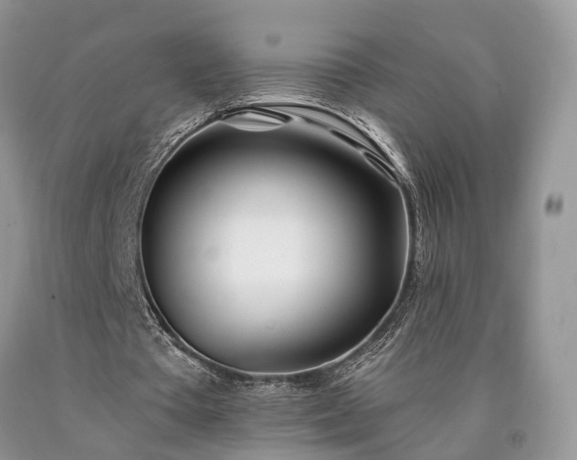 X0000090480385200707201420