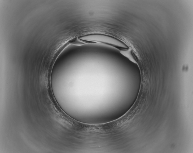 X0000090480386200707201420