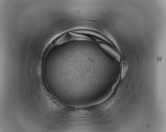 X0000090480387200707201420