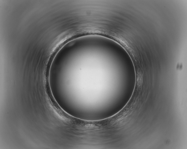 X0000090480390200707201420