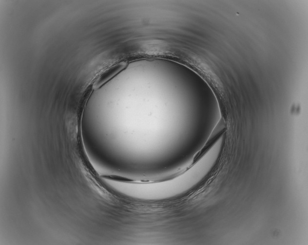 X0000090480397200707201420
