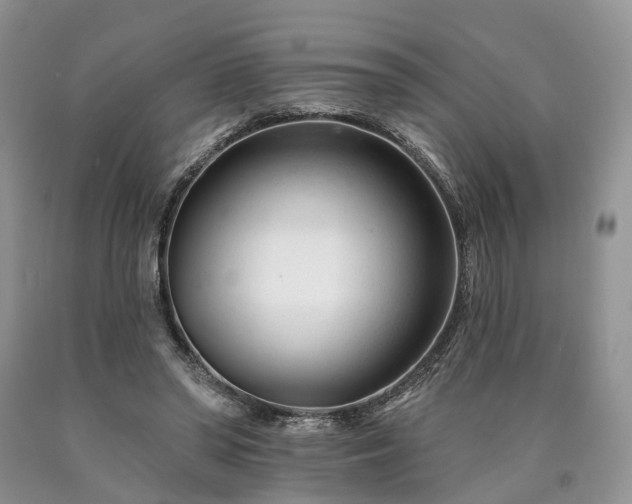 X0000090480398200707201420