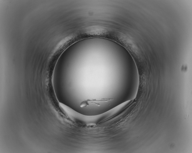 X0000090480400200707201420