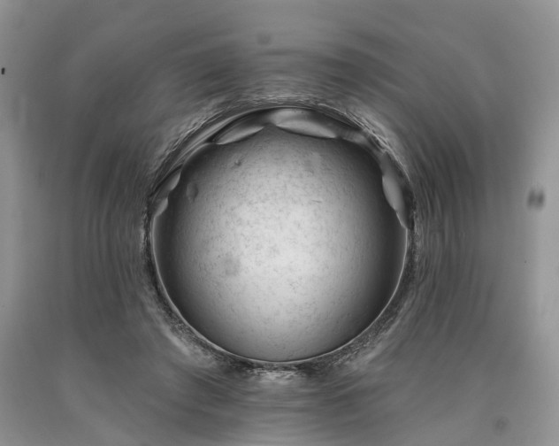 X0000090480401200707201420